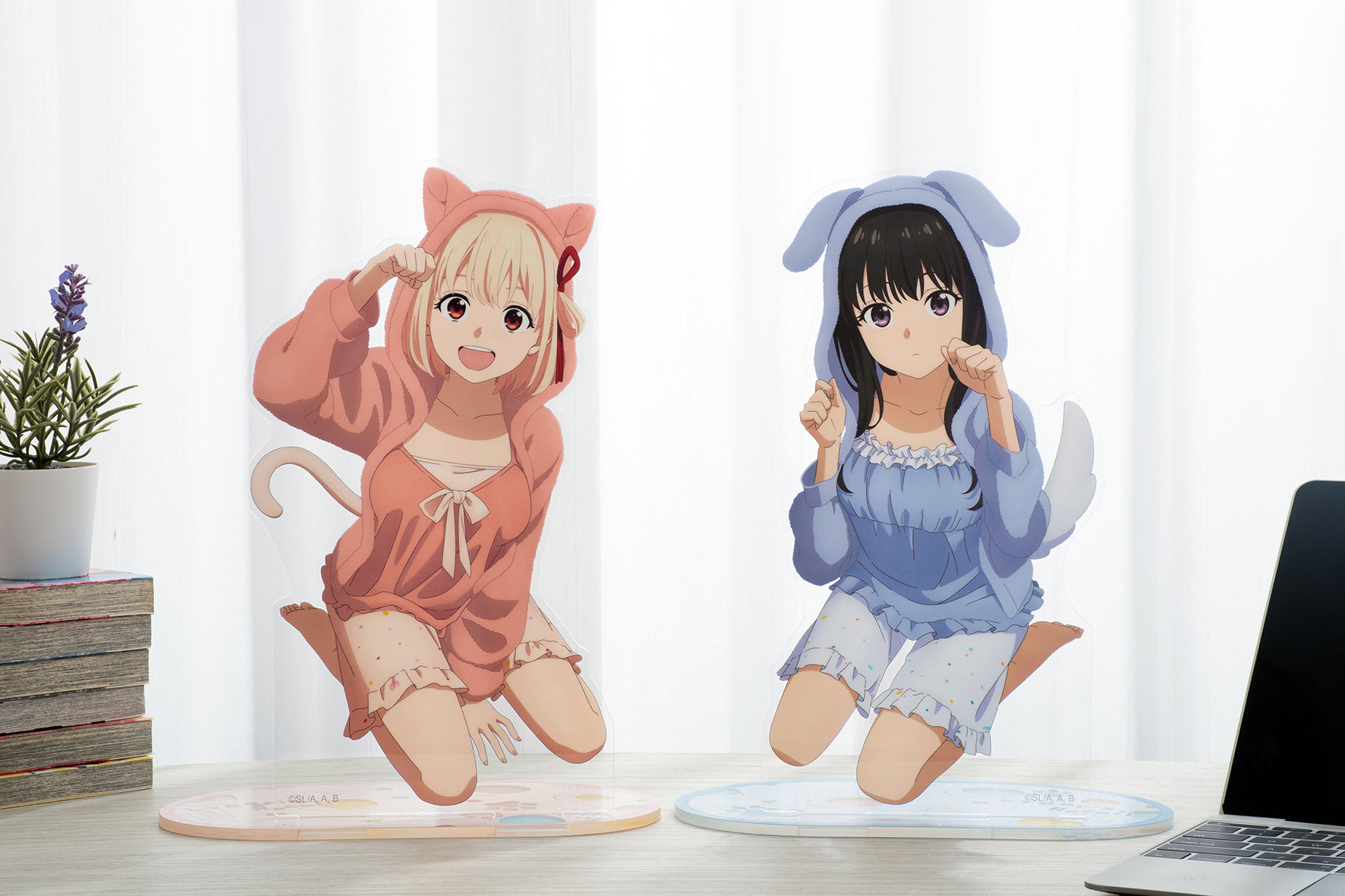▲▼木棉花。（圖／木棉花提供）