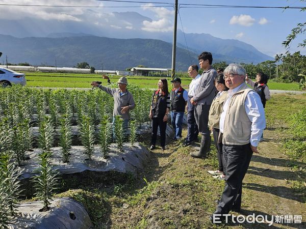 ▲▼順天堂藥廠總經理莊武璋率團實地參訪與在地農友面對面做更深入的探討交流。（圖／花蓮縣政府提供，下同）
