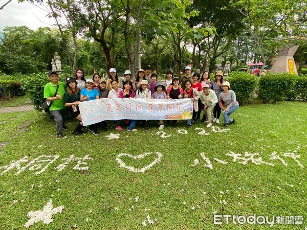 ▲▼花蓮市公所自4月11日起規劃兩梯次「定定仔行-來尞桐花」小旅行。（圖／花蓮市公所提供，下同）