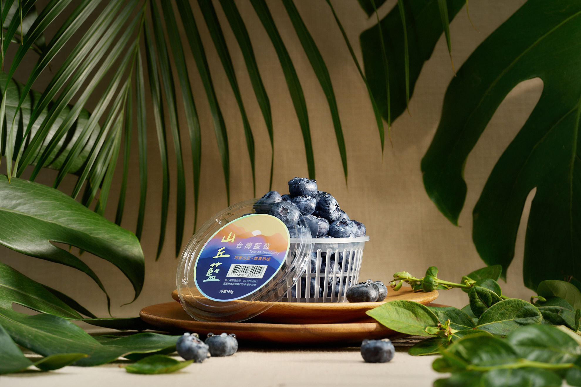 ▲▼山丘藍,台灣,藍莓。（圖／山丘藍提供）