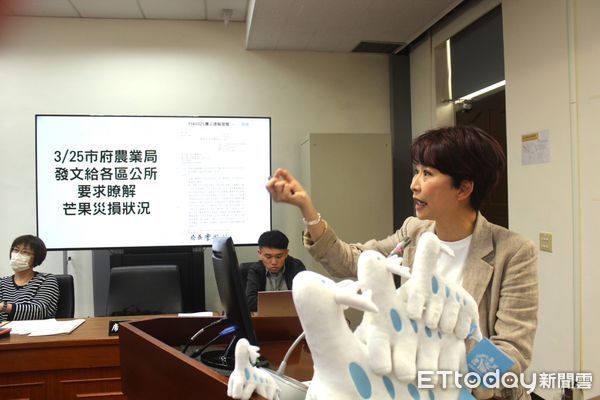▲台南山區包含玉井區、楠西區、南化區、左鎮區、大內區等地芒果、荔枝、龍眼及地瓜著果率不佳、長不大嚴重影響收成，陳亭妃爭取農民災損權利。（圖／記者林東良翻攝，下同）