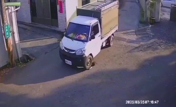 ▲▼ 嘉義工程貨車輾貓案 嘉畜所依傷害致死移送法辦 新聞稿 。（圖／嘉義多一點提供）