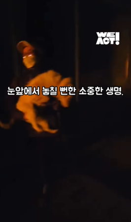南韓野火動物救援。（圖／翻攝自Care臉書、IG@we.a.c.t）