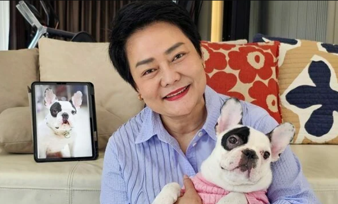 ▲▼ 她砸530萬「複製過世愛犬」！泰國首隻克隆狗：長相完美重現。（圖／翻攝自 KhaoSod）