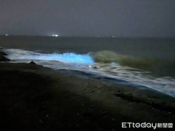 ▲▼近日，金門海域再度迎來壯觀夢幻的「藍眼淚」奇景  。（圖／記者林名揚翻攝）