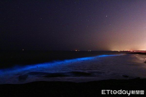 ▲▼近日，金門海域再度迎來壯觀夢幻的「藍眼淚」奇景  。（圖／記者林名揚翻攝）