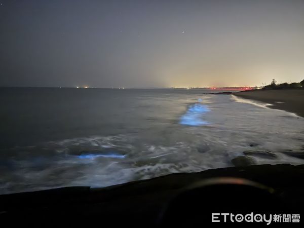 ▲▼近日，金門海域再度迎來壯觀夢幻的「藍眼淚」奇景  。（圖／記者林名揚翻攝）