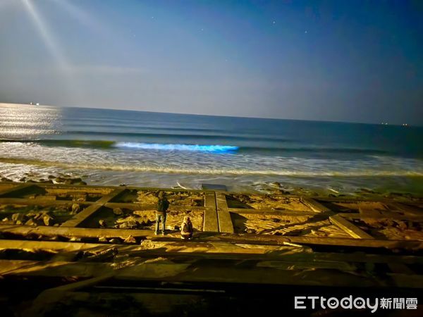 ▲▼近日，金門海域再度迎來壯觀夢幻的「藍眼淚」奇景  。（圖／記者林名揚翻攝）