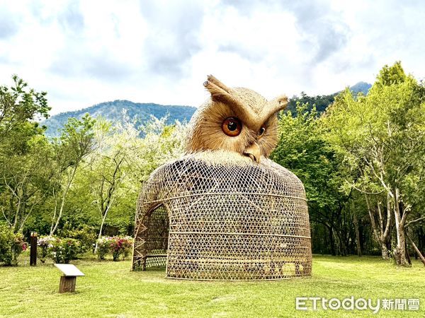 ▲奧萬大園區於清明兒童節連續假期推出優惠：兒童免費、成人半票入園。（圖／林業保育署南投分署提供）