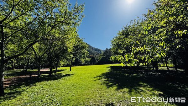 ▲奧萬大園區於清明兒童節連續假期推出優惠：兒童免費、成人半票入園。（圖／林業保育署南投分署提供）