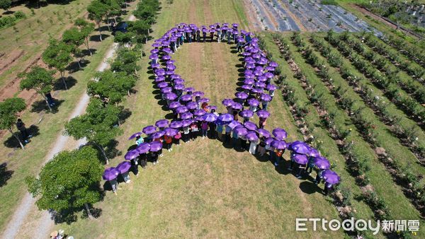 ▲▼    嘉義縣114年度社工日 「紫絲帶」合照傳達暴力零容忍  。（圖／嘉義縣政府提供）