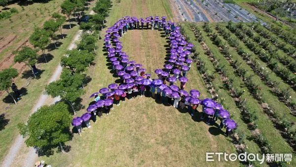 ▲▼    嘉義縣114年度社工日 「紫絲帶」合照傳達暴力零容忍  。（圖／嘉義縣政府提供）