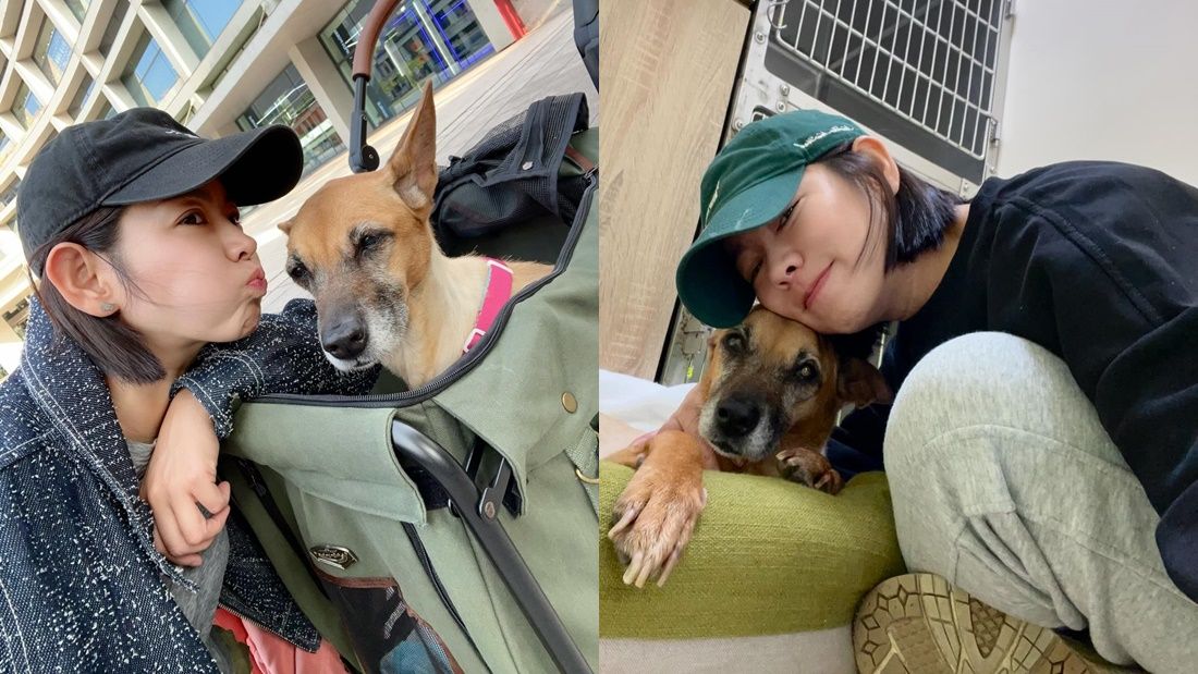 ▲▼米可白。（圖／翻攝自Threads／mimi00419）