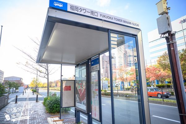 ▲▼【2025福岡塔】最新門票&玩樂攻略!從大海到天空只要700秒,最美高空戀人聖地,親子同行也適合。（圖／部落客滿分授權提供）