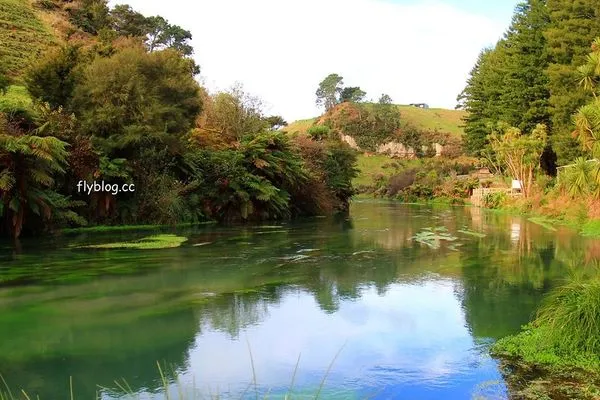▲▼藍泉 Blue Spring Putaruru。（圖／部落客飛天璇的口袋授權提供）