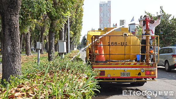 ▲▼    正值桃花心木落葉期 嘉市讓「落葉變黃金」化作堆肥更護花   。（圖／嘉義市政府提供）