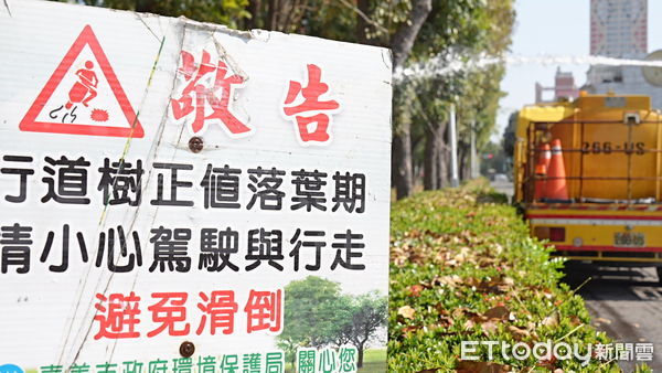 ▲▼    正值桃花心木落葉期 嘉市讓「落葉變黃金」化作堆肥更護花   。（圖／嘉義市政府提供）