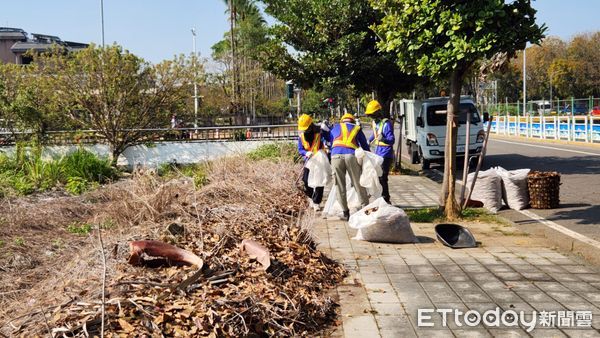 ▲▼    正值桃花心木落葉期 嘉市讓「落葉變黃金」化作堆肥更護花   。（圖／嘉義市政府提供）