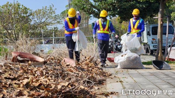 ▲▼    正值桃花心木落葉期 嘉市讓「落葉變黃金」化作堆肥更護花   。（圖／嘉義市政府提供）