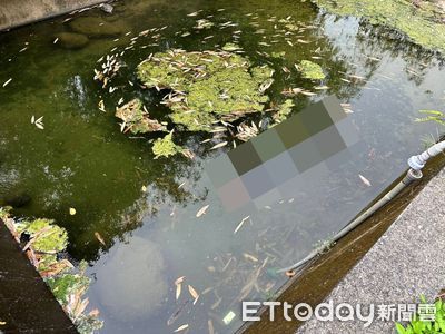 修水管疑失足撞頭昏迷　南投61歲男野溪溺水身亡