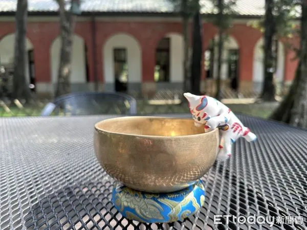 ▲台南最受歡迎的城市吉祥物「巷仔NIAU」再度掀起收藏熱潮！販售首日即引發搶購風潮，南瀛天文館線上商城兩度賣到缺貨。（圖／記者林東良翻攝，下同）