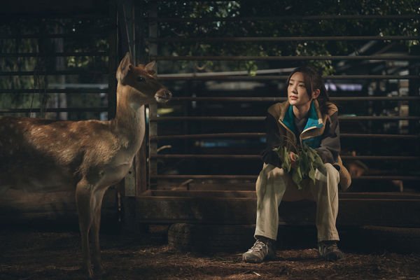 ▲《不如海邊吹吹風》由陳柏霖、郭雪芙主演。（圖／大川大立提供）