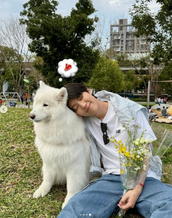 ▲卡特和愛犬遭咬傷。（圖／翻攝自卡特IG）