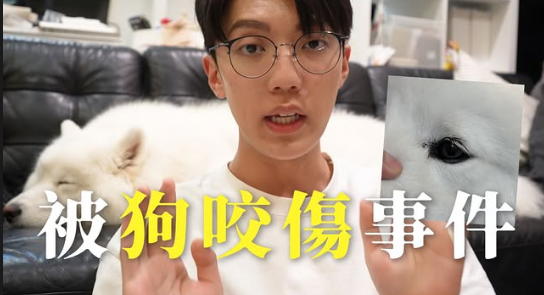 ▲卡特和愛犬遭咬傷。（圖／翻攝自卡特IG）