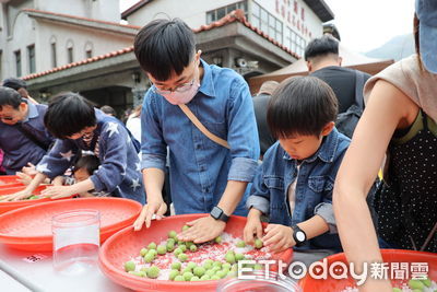 南投梅子節開幕　500人體驗脆梅DIY！冠軍主廚周周供梅子餐試吃