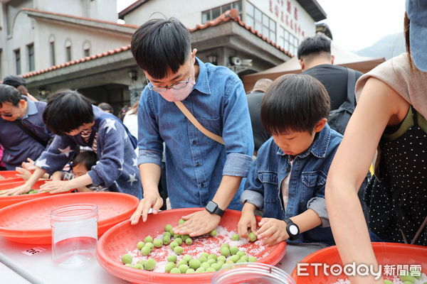 ▲南投梅子節於信義鄉農會登場，500人齊聚體驗製梅。（圖／南投縣政府提供，下同）