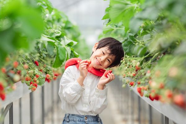 ▲▼廣島三原市的觀光農場「SMILE-LABO HIROSHIMA」。（圖／HIT廣島縣觀光聯盟提供）