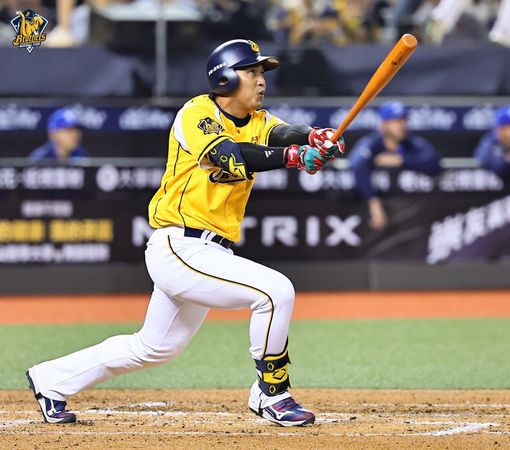 ▲兄弟王政順。（圖／中信兄弟提供）