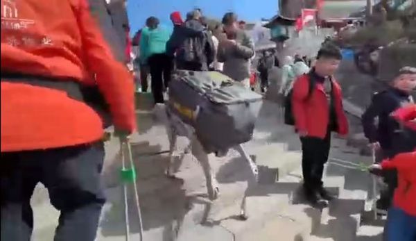 ▲▼  大九學堂登泰山、機器狗背東西           。（圖／馬英九基金會提供）