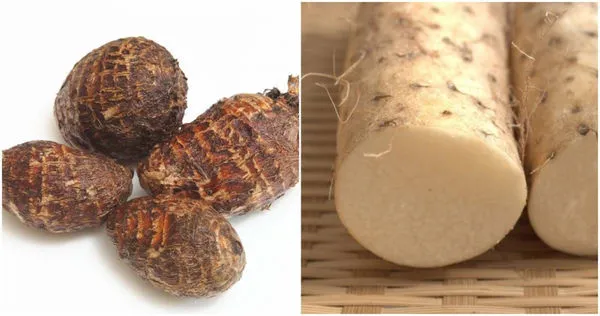 醫師表示，清明節可以多吃芋頭、山藥等。（示意圖／photoAC）