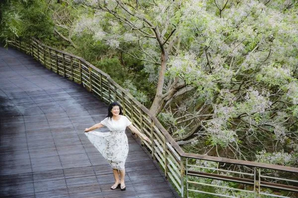 ▲▼台中東大公園｜純白苦楝花與粉嫩九重葛交織綻放的繽紛公園。（圖／部落客黑皮的旅遊筆記授權提供）