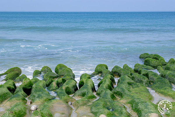 ▲▼老梅綠石槽|海岸抹茶綠地毯．新北旅遊必訪免費景點。（圖／部落客桃桃`s旅人手札授權提供）