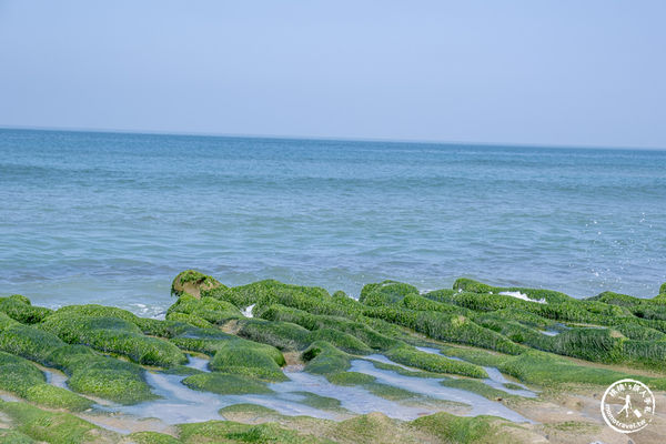 ▲▼老梅綠石槽|海岸抹茶綠地毯．新北旅遊必訪免費景點。（圖／部落客桃桃`s旅人手札授權提供）