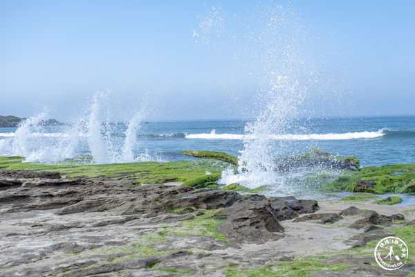 ▲▼老梅綠石槽|海岸抹茶綠地毯．新北旅遊必訪免費景點。（圖／部落客桃桃`s旅人手札授權提供）