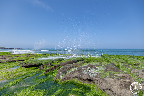 ▲▼老梅綠石槽|海岸抹茶綠地毯．新北旅遊必訪免費景點。（圖／部落客桃桃`s旅人手札授權提供）