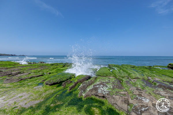 ▲▼老梅綠石槽|海岸抹茶綠地毯．新北旅遊必訪免費景點。（圖／部落客桃桃`s旅人手札授權提供）