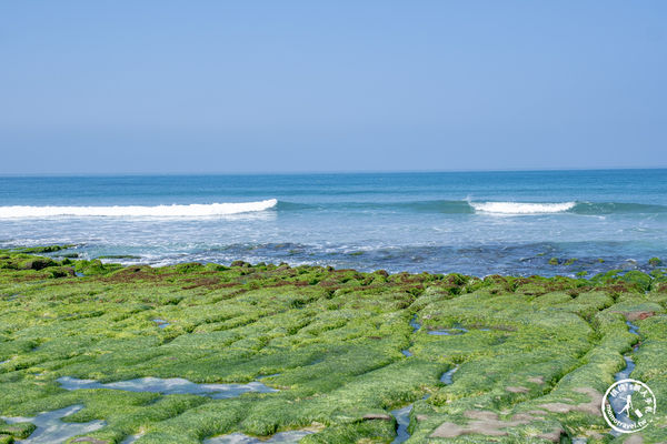 ▲▼老梅綠石槽|海岸抹茶綠地毯．新北旅遊必訪免費景點。（圖／部落客桃桃`s旅人手札授權提供）