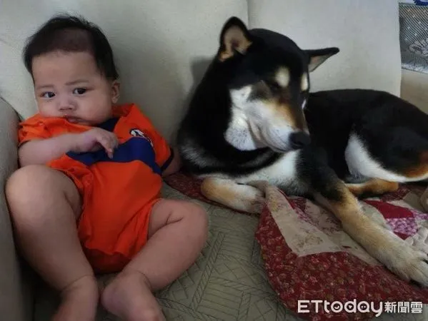 ▲（圖／網友@liao_o731提供，請勿隨意翻拍，以免侵權。）