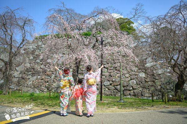 ▲▼2025福岡【舞鶴公園櫻花季】最新花況!福岡城跡點燈&大濠公園,穿和服賞櫻超好看。（圖／部落客滿分的旅遊札記授權提供）