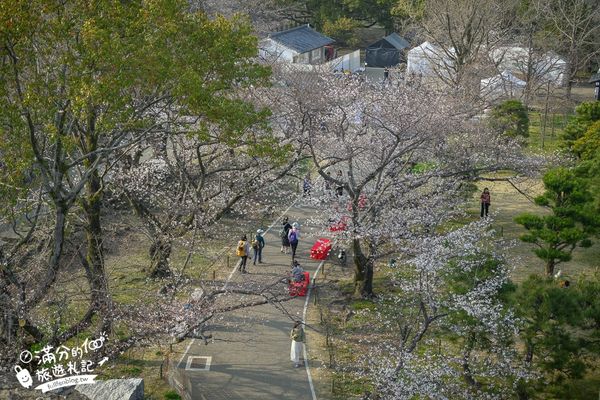 ▲▼2025福岡【舞鶴公園櫻花季】最新花況!福岡城跡點燈&大濠公園,穿和服賞櫻超好看。（圖／部落客滿分的旅遊札記授權提供）