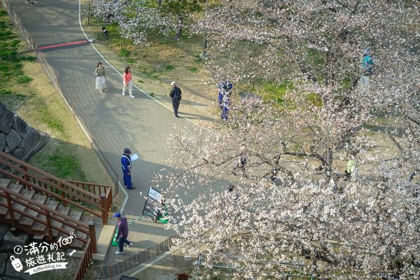 ▲▼2025福岡【舞鶴公園櫻花季】最新花況!福岡城跡點燈&大濠公園,穿和服賞櫻超好看。（圖／部落客滿分的旅遊札記授權提供）