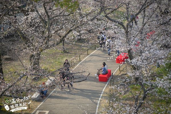 ▲▼2025福岡【舞鶴公園櫻花季】最新花況!福岡城跡點燈&大濠公園,穿和服賞櫻超好看。（圖／部落客滿分的旅遊札記授權提供）