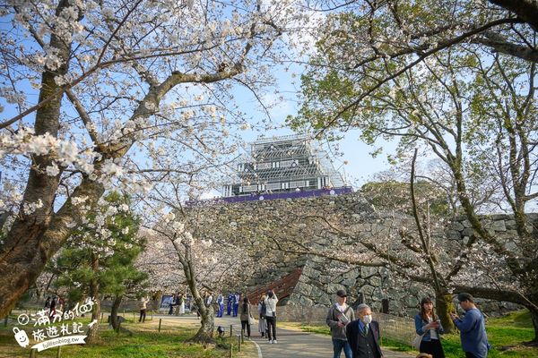 ▲▼2025福岡【舞鶴公園櫻花季】最新花況!福岡城跡點燈&大濠公園,穿和服賞櫻超好看。（圖／部落客滿分的旅遊札記授權提供）