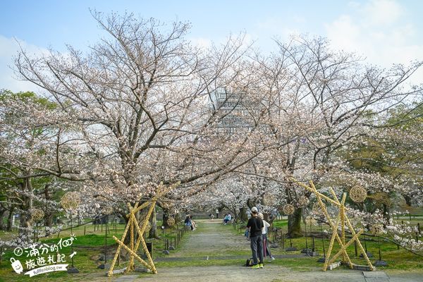▲▼2025福岡【舞鶴公園櫻花季】最新花況!福岡城跡點燈&大濠公園,穿和服賞櫻超好看。（圖／部落客滿分的旅遊札記授權提供）