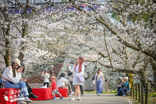 ▲▼2025福岡【舞鶴公園櫻花季】最新花況!福岡城跡點燈&大濠公園,穿和服賞櫻超好看。（圖／部落客滿分的旅遊札記授權提供）