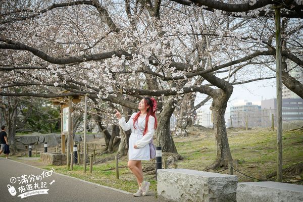 ▲▼2025福岡【舞鶴公園櫻花季】最新花況!福岡城跡點燈&大濠公園,穿和服賞櫻超好看。（圖／部落客滿分的旅遊札記授權提供）